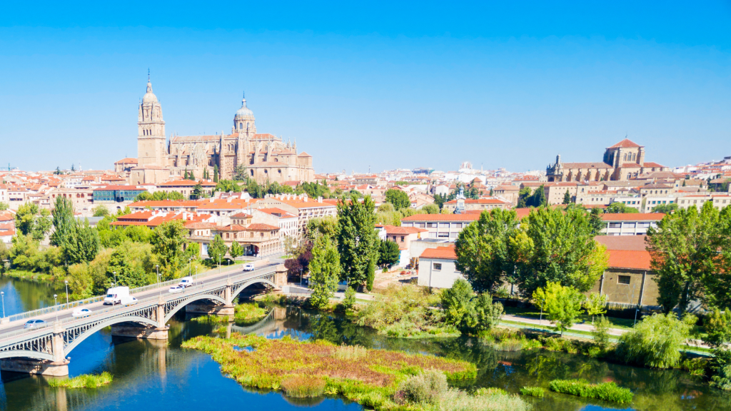 Vista del Puente de Hierro y la Catedral de Salamanca