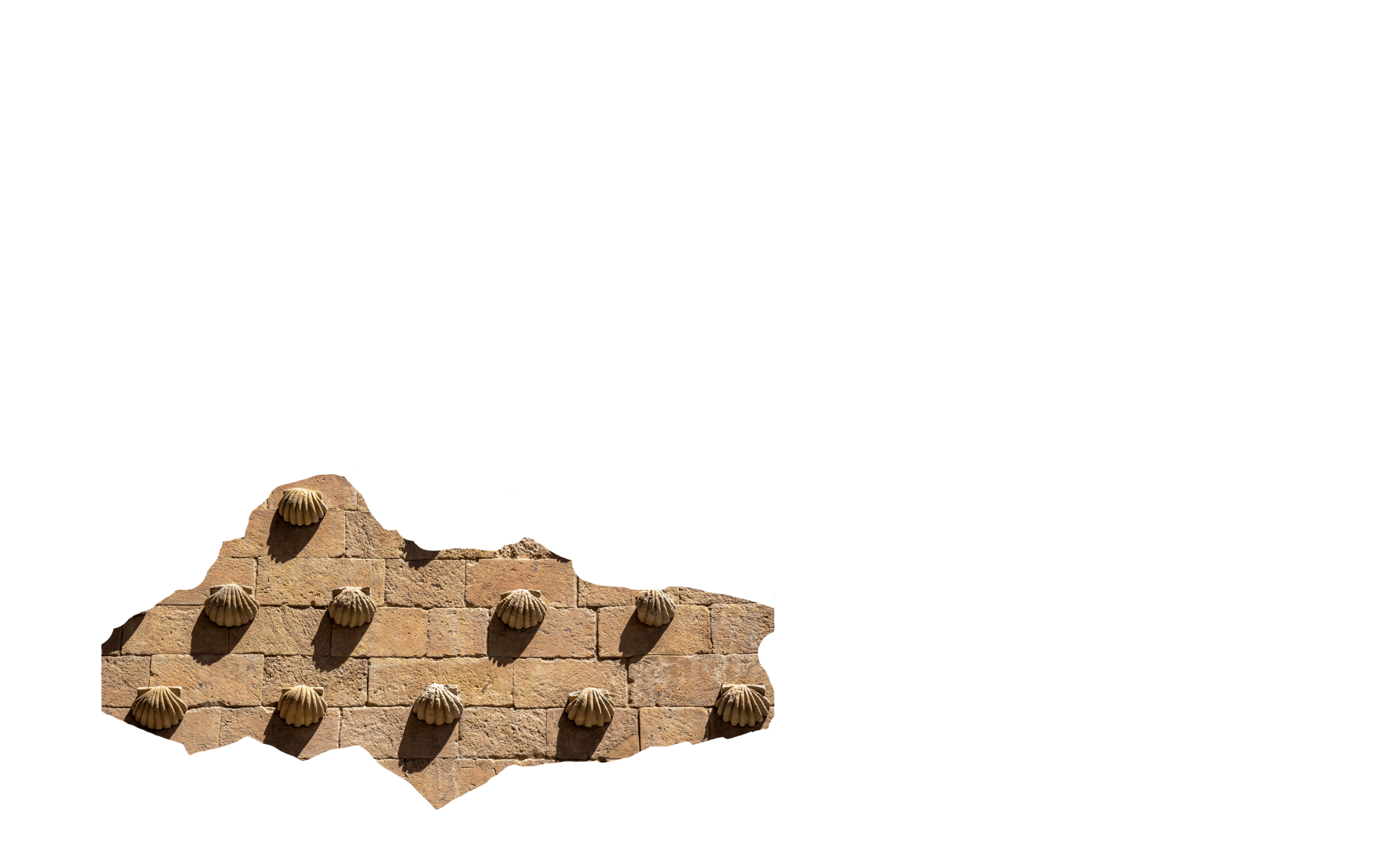 Casa de las conchas página principal