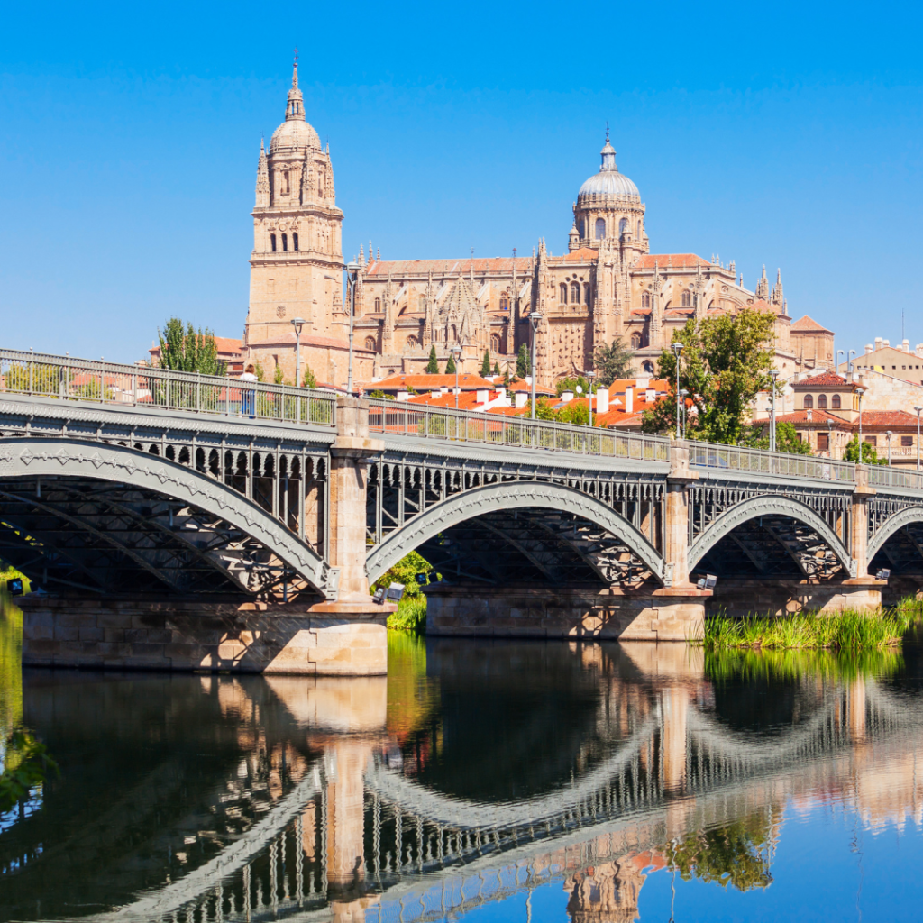 Las catedrales de Salamanca y el puente de Enrique Estevan