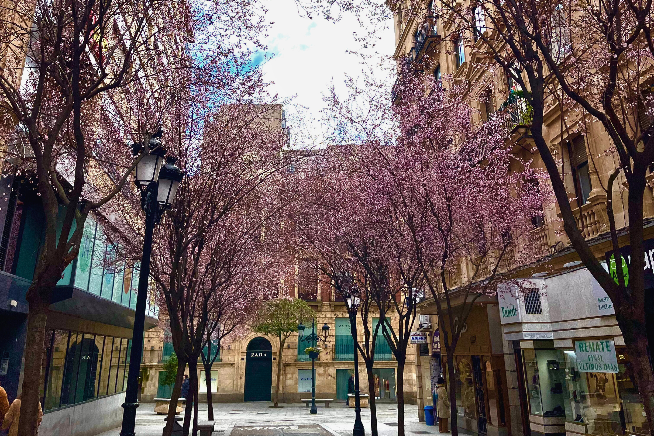 Un paseo por Salamanca en Primavera
