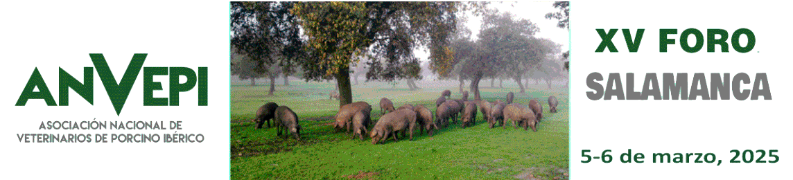 ANVEPI - XV FORO - SALAMANCA